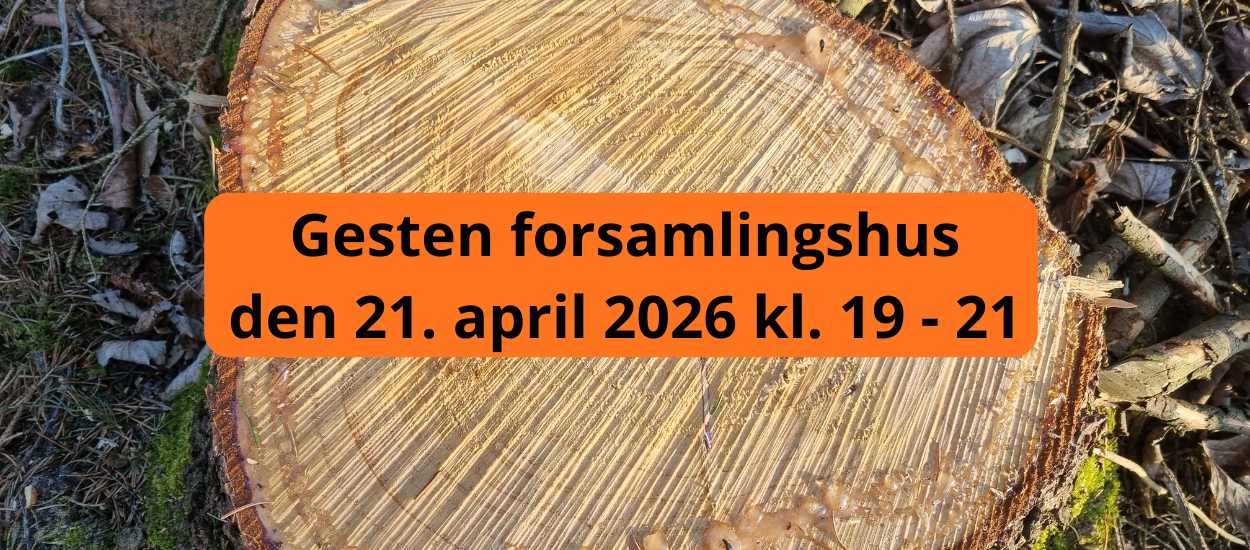 Informationsmøde med Everfuel
