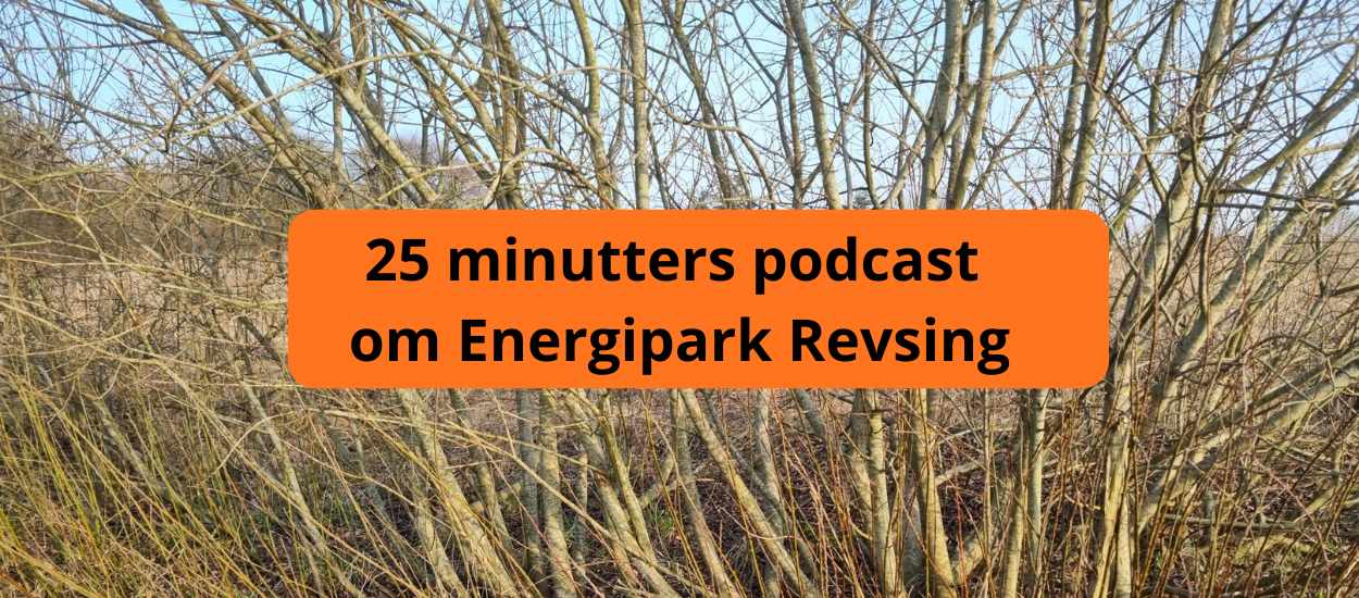 VEJEN TALKS om Energipark Revsing